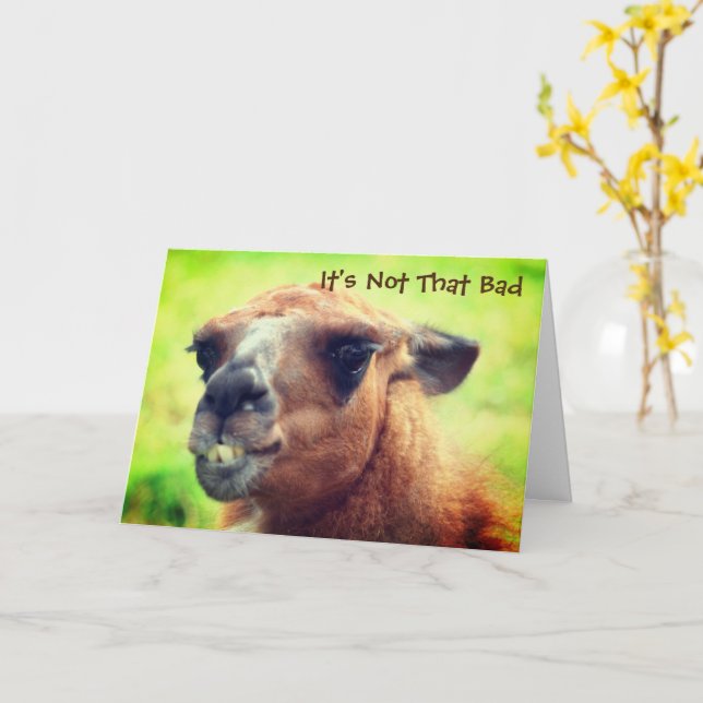 Angry Llama Humourous 40th Birthday   Card (Yellow Flower)