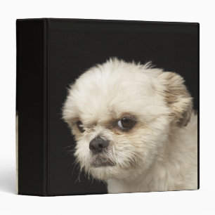 Angry white Shih Tzu with brown eyes Binder