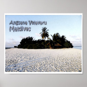 Angsana velavaru - Maldives - Panorama - Poster