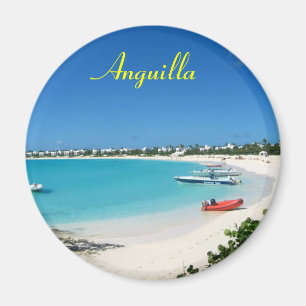 Anguilla aimant