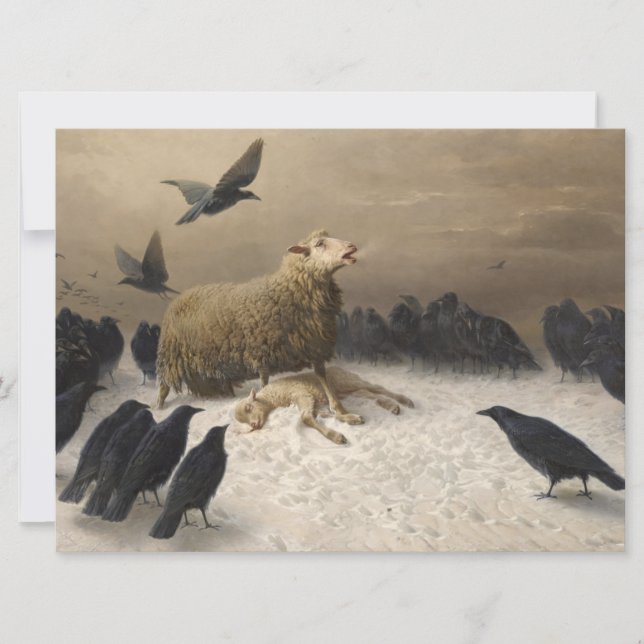 Anguish: Sheep with a Dead Lamb Card (Front)