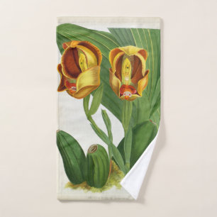 Anguloa Ruckerii Sanguine Lindenia Orchid Hand Towel