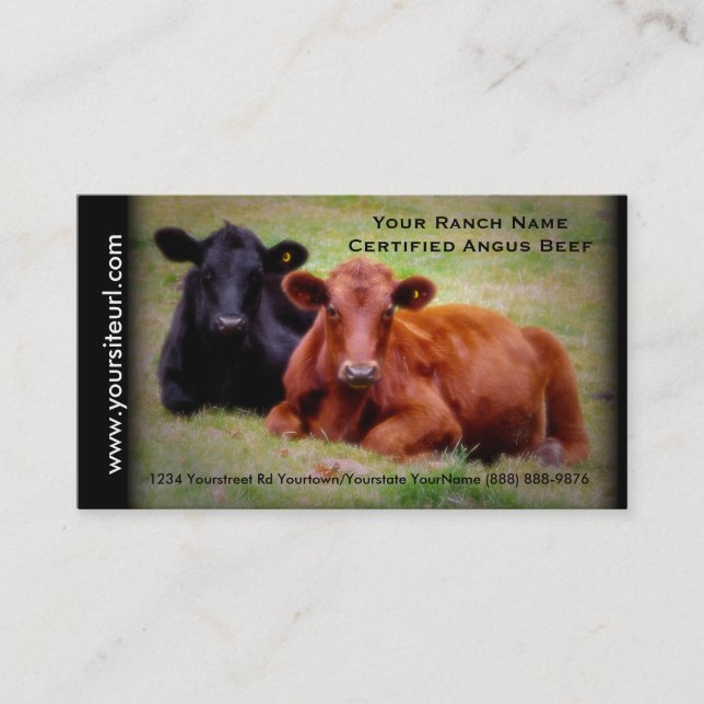 Angus Cattle Photo for  Beef Ranch or Farm Business Card (Front)