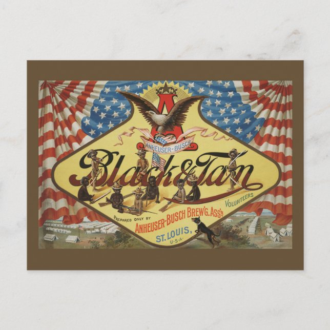 ANHEUSER-BUSH Black & Tan Postcard (Front)