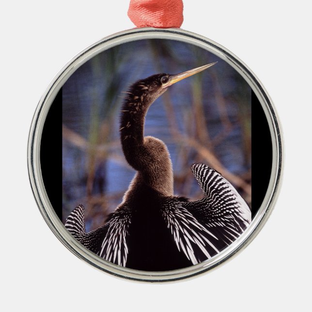 anhinga and wings metal ornament (Front)