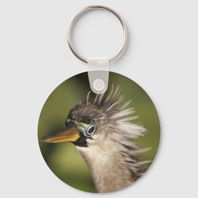 Anhinga Keychain (Front)