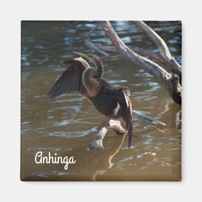 Anhinga Magnet (Front)