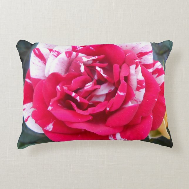 Anicia Decorative Pillow (Front)