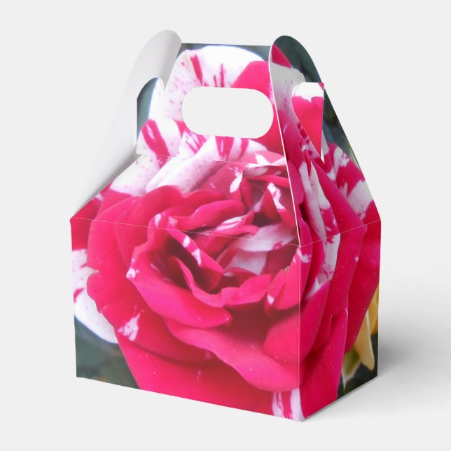 Anicia Favor Box (Front Side)