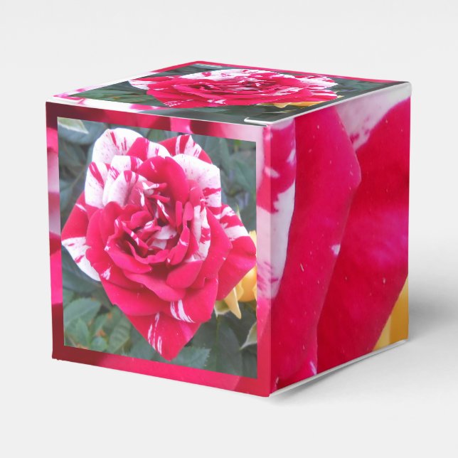 Anicia Favor Box (Front Side)