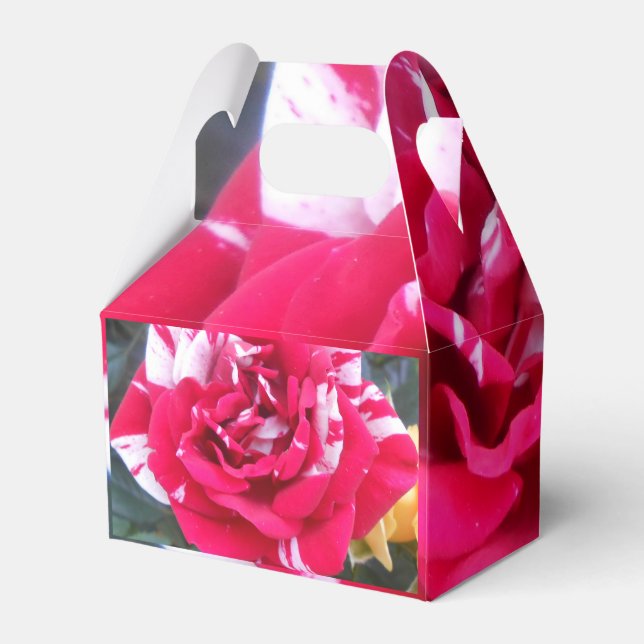 Anicia Favor Box (Back Side)