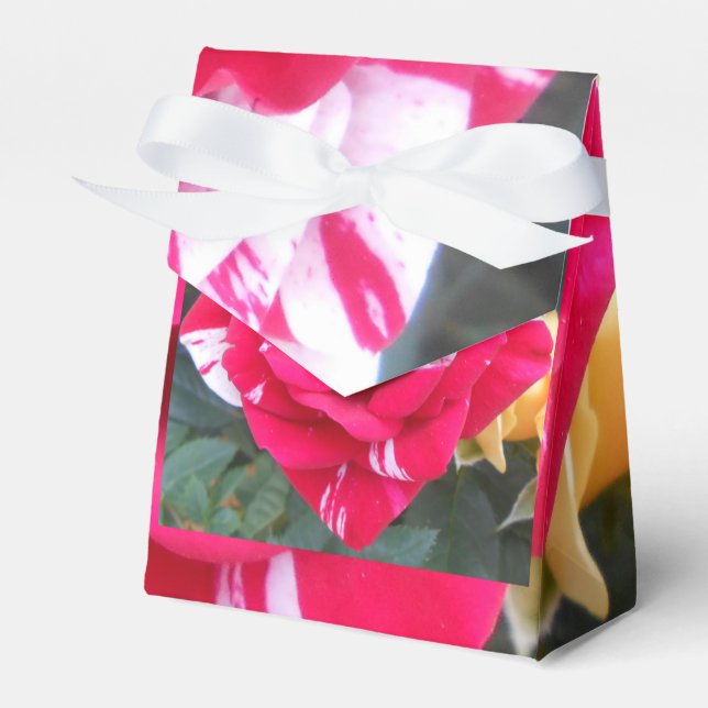Anicia Favor Box (Front Side)