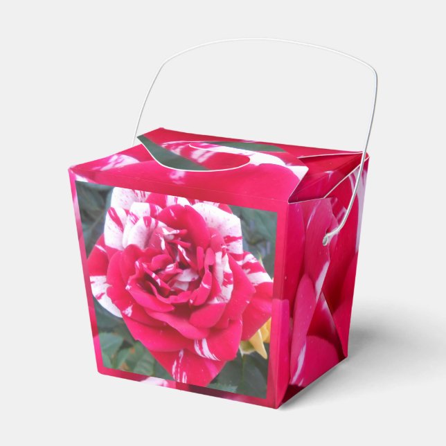 Anicia Favor Box (Front Side)
