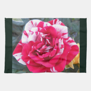 Anicia Kitchen Towel