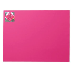 Anicia Notepad