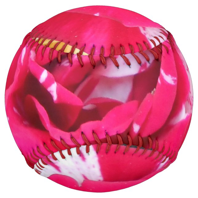 Anicia Softball (Front)