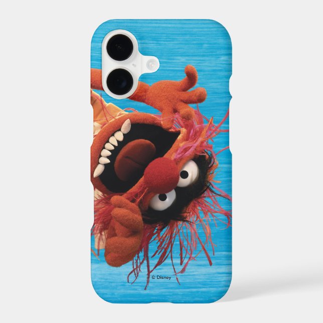 Animal (Back)