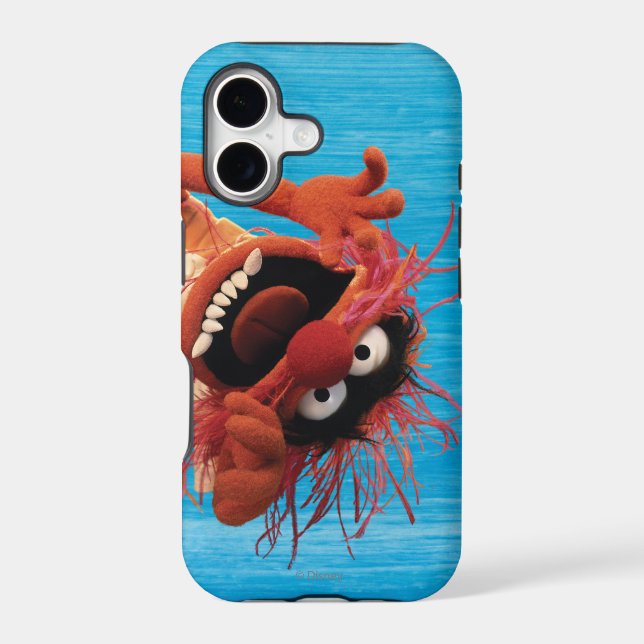 Animal (Back)