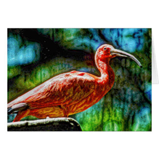 Animal04