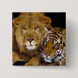 AnImAl 2 Inch Square Button