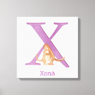 Animal ABC X is for xerus canvas print
