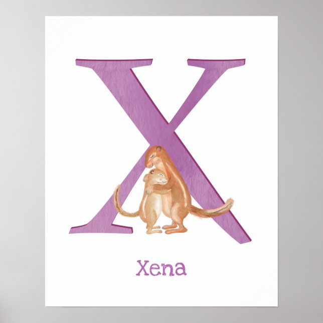 Animal ABC X is for xerus print (Front)