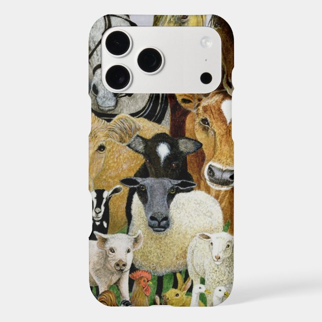 Animal Allsorts (Back)