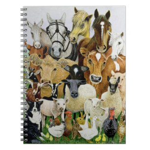 Animal Allsorts Notebook