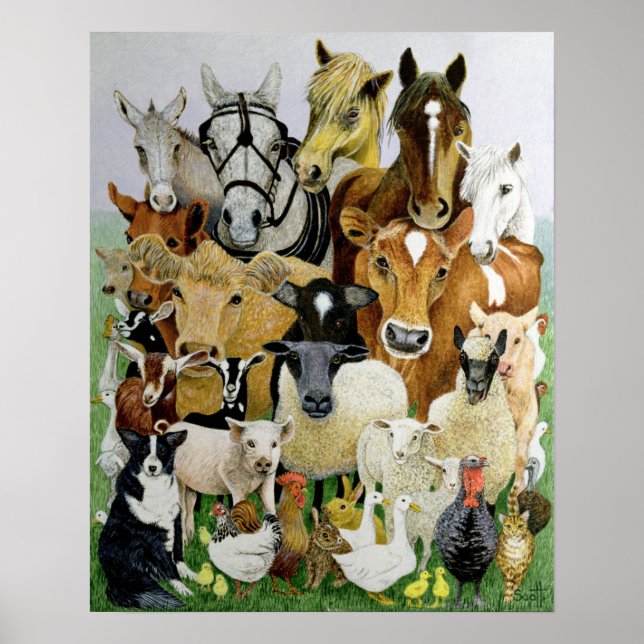 Animal Allsorts Poster (Front)
