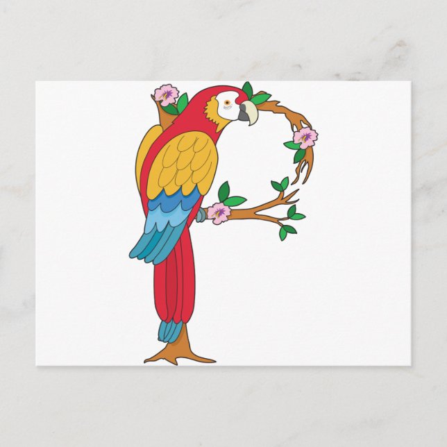 Animal Alphabet Parrot Postcard (Front)