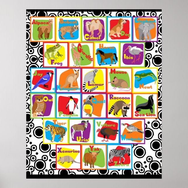 Animal Alphabet Poster (Front)
