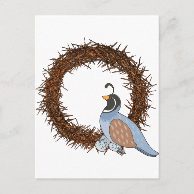 Animal Alphabet Quail Postcard (Front)