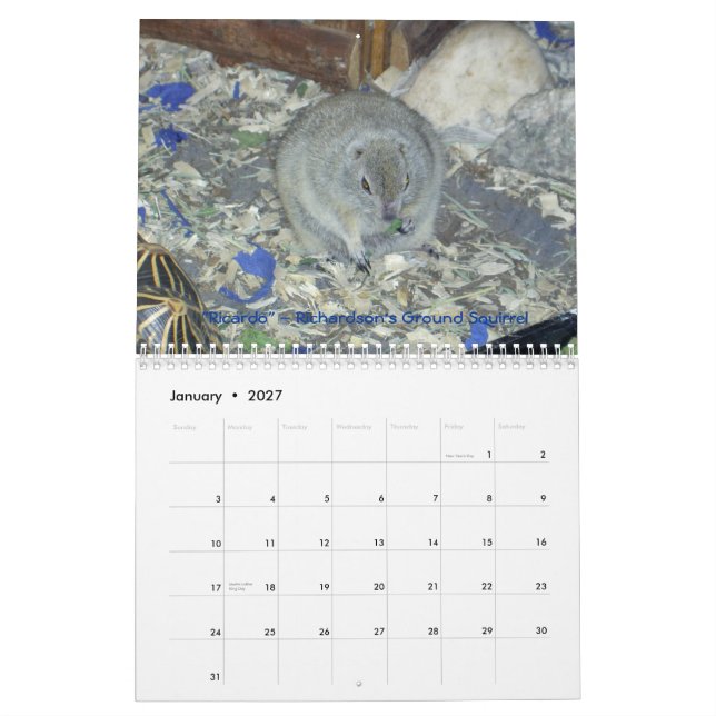 Animal Ambassadors 2011 Wall Calendar (Jan 2027)