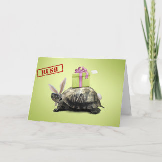 Animal Antics - Birthday, Gift greeting card