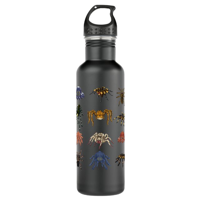 Animal Arachnid Tarantula Arthropod Halloween Gift 710 Ml Water Bottle (Front)