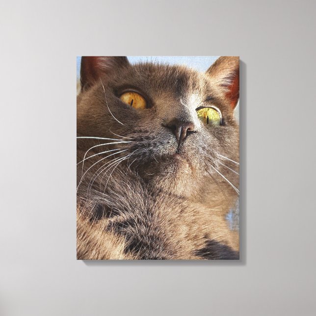 Animal Art Canvas Print (Front)