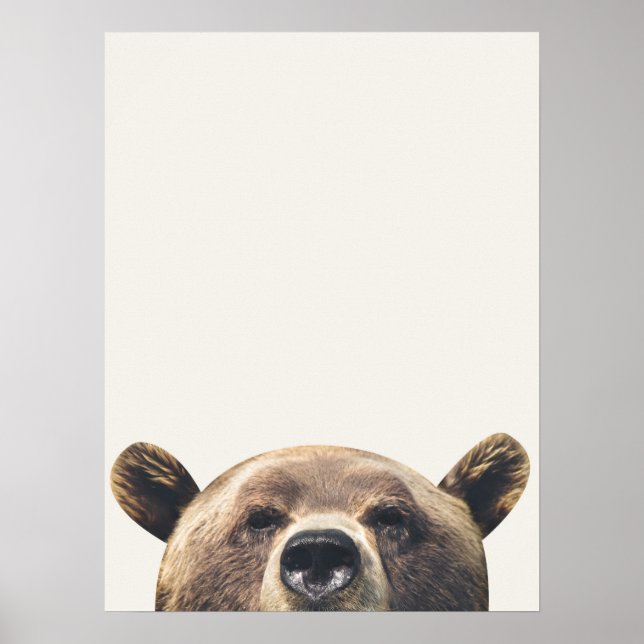 Animal Bear Poster (Front)