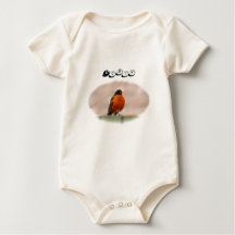 Animal Bird American Robin