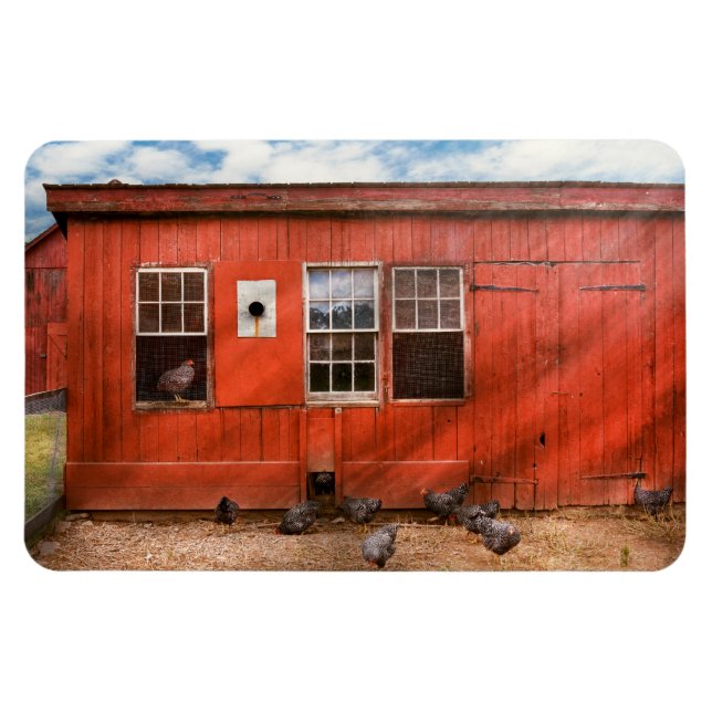 Animal - Bird - Bird watching Magnet (Horizontal)