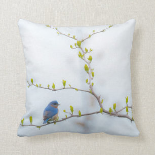 Animal Bird Eastern Bluebird Throw Pillow