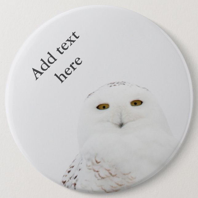 Animal Bird Snowy Owl Looking at Me 6 Inch Round Button (Front)