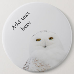 Animal Bird Snowy Owl Looking at Me 6 Inch Round Button
