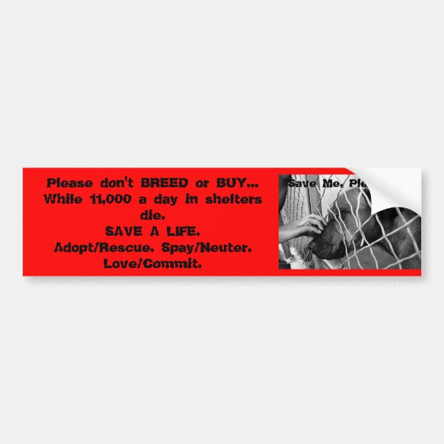 Animal Bumper Sticker (Front)