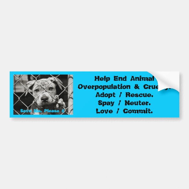 Animal Bumper Stickers (Front)