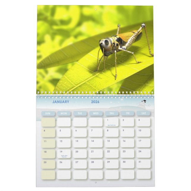 Animal Calender 8 Calendar (Jan 2026)