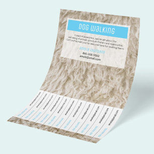 Animal Care Pet Flyers Modern Dog Walking Service 
