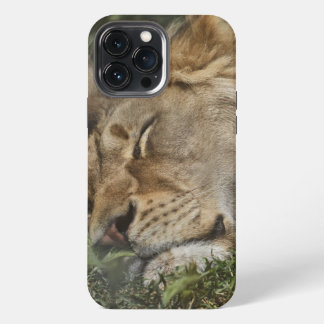 Animal  Case-Mate iPhone case