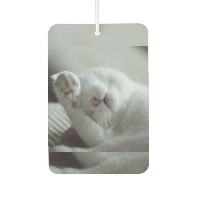 Animal, Cat, Feline Air Freshener (Front)