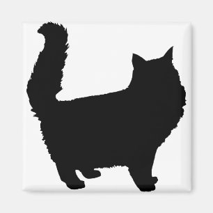 Animal Cat Fluffy Hsm Various Kitten Kitty Pet Magnet