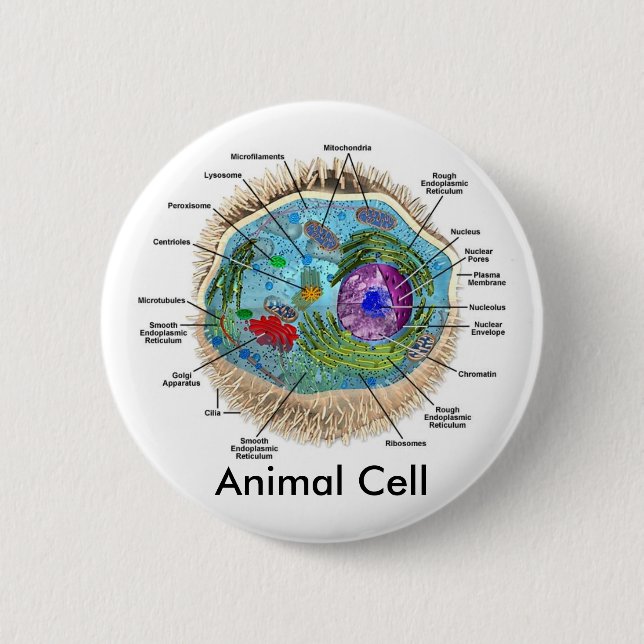 Animal Cell 2 Inch Round Button (Front)